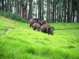 Biosphere Reserve